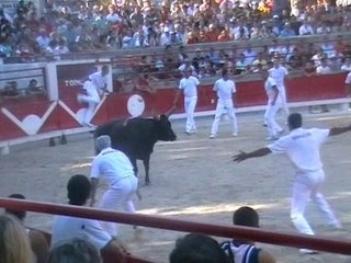 Montvert, Fournelet et Mathis à la palme.