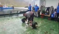 trying to brake icelandic axle lift record
