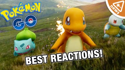 The Best Pokemon Go Internet Reactions!