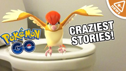 The 7 Craziest Pokemon Go Stories So Far!