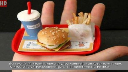 Dünyanın En Küçük 10 Şeyi 🧐