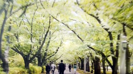 オープニング参考