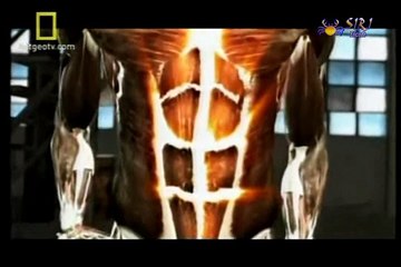 Armas Invisíveis - Parte 2/3 - A Ciência das Artes Marciais