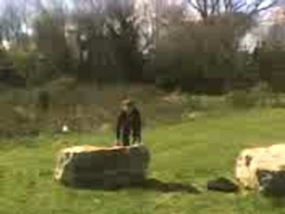 Julien back flip