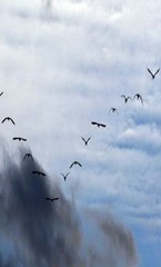 피나클주소 에이전시먹튀구별 SuperCar123.Com 가입코드6623 해외양방싸이트