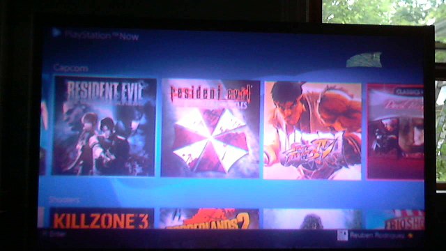 resident evil darkside chronicles