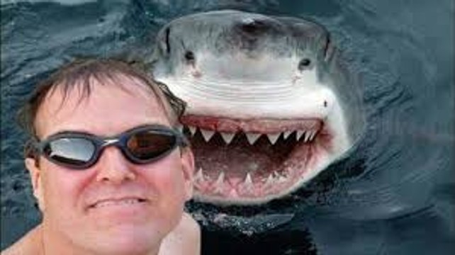 25 Most Dangerous Selfies Ever!-25 best selfies collection-best selfies