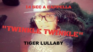 Tiger Lullaby, 