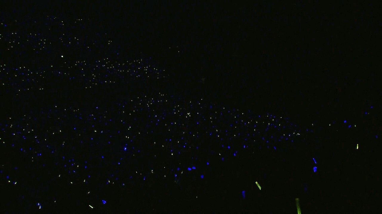 RAW] 1st Japan Tour 2015 Wake Up Open Your Eyes 2-5 - video
