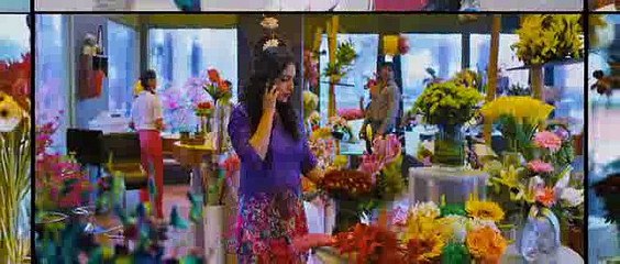 Rajadhi Raja telugu part 2