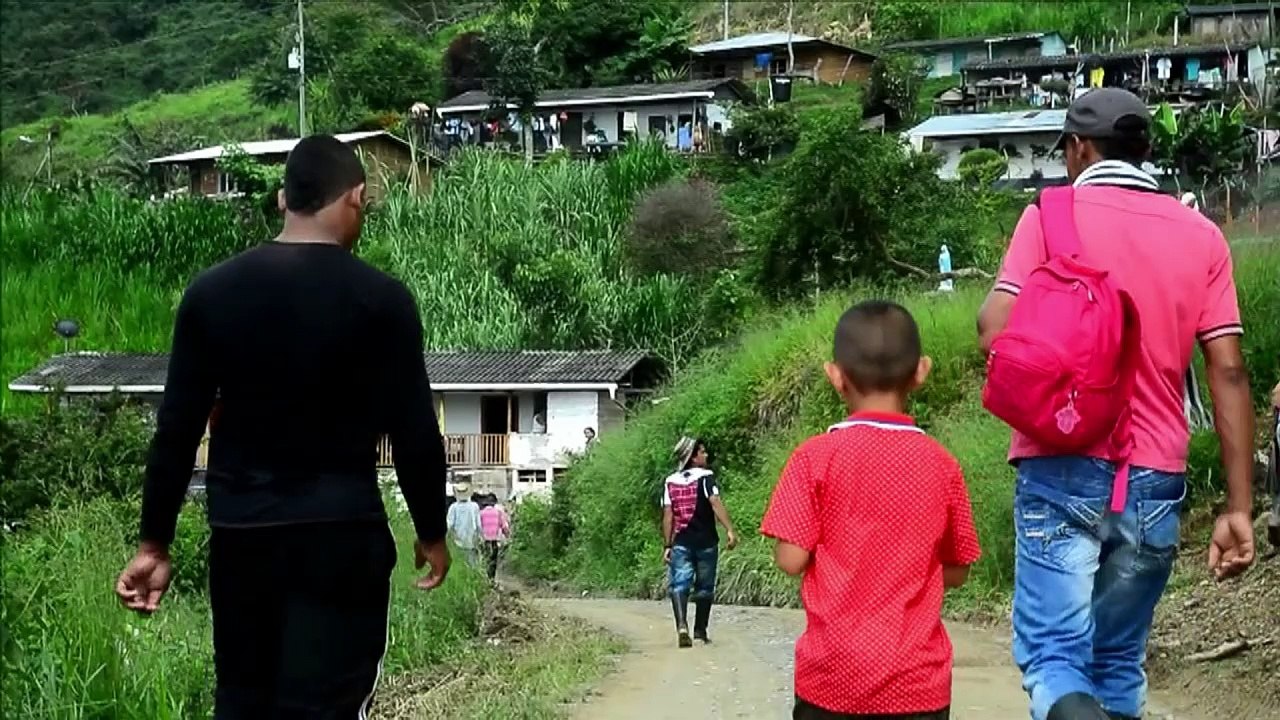 Colombia sustituye cultivos de coca con ayuda de las FARC