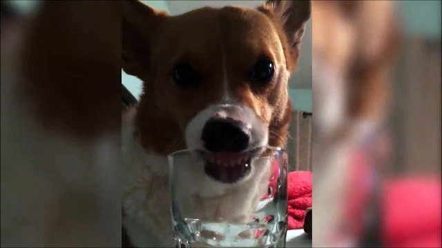 Quand t'essaies d'avoir la dernière goutte d'eau du verre