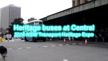 Heritage buses at Central Station