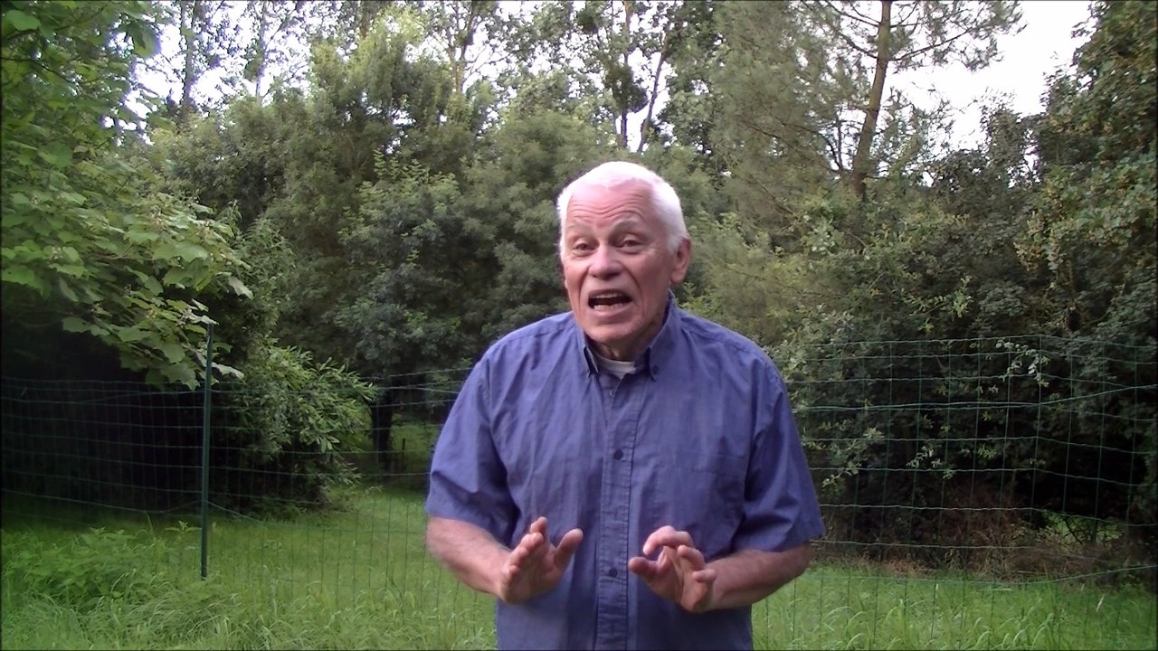 Le chat, la belette et le petit lapin