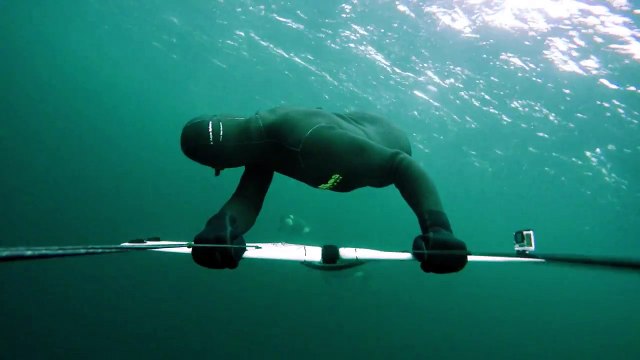 Nager avec des orques tueuses en Norvège !