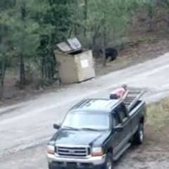 Salvamento de unos oseznos