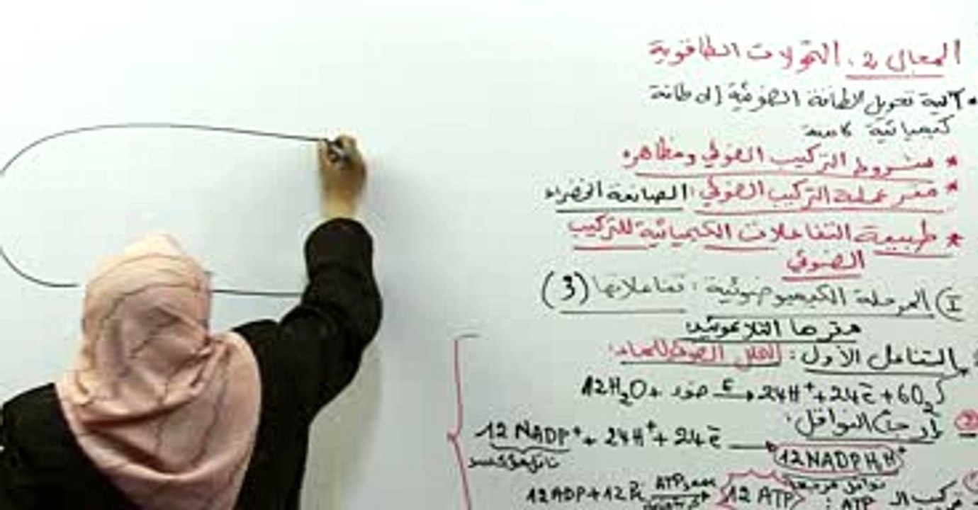تفاعلات المرحلة الكيميوضوئية 1