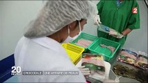 Une entreprise thaïlandaise élève des milliers de crocodiles pour vendre... leurs corps !