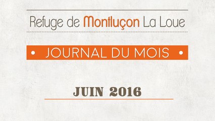 Un mois au refuge : juin 2016