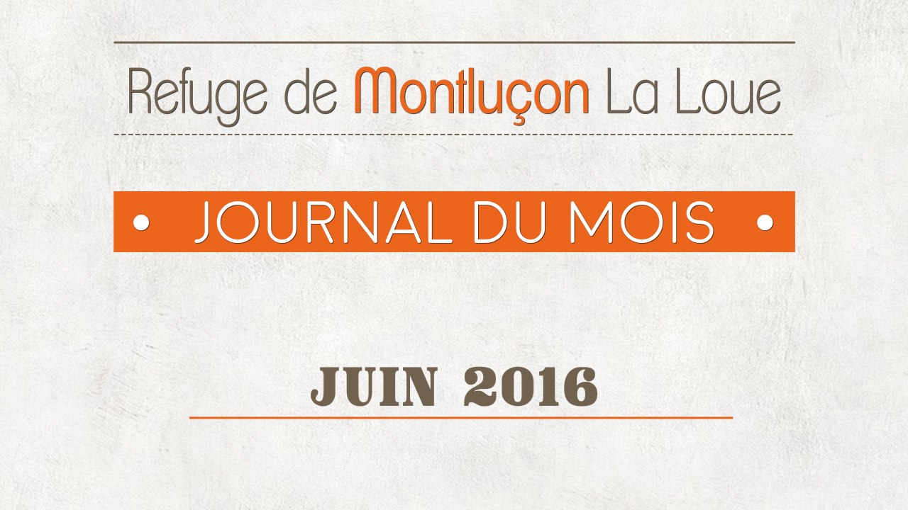 Un mois au refuge : juin 2016