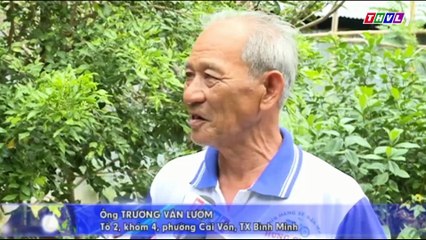 Cần sớm khắc phục tình trạng sạt lở ở khóm 4 phường Cái Vồn–TX Bình Minh