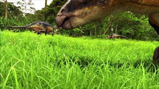 Amazing Dinosaurs for KIDS|NoneTV