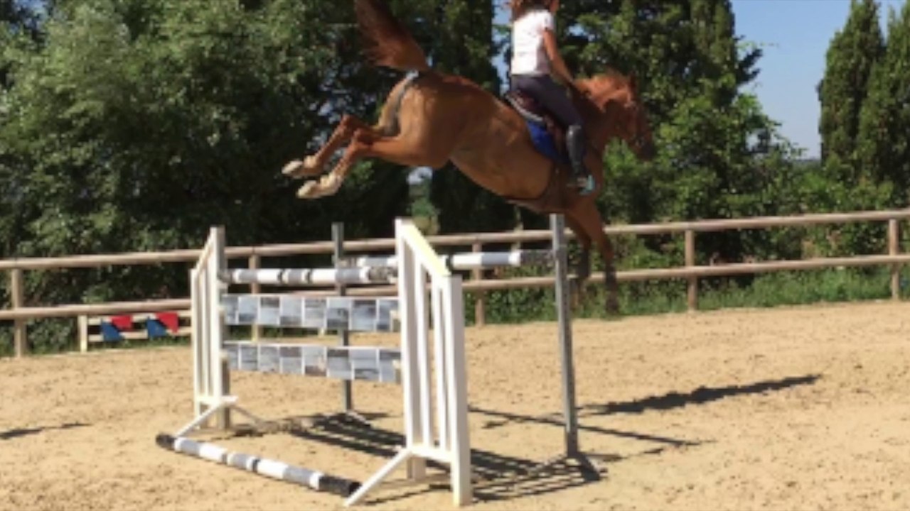 Jument Nagano X Quidam de Revel