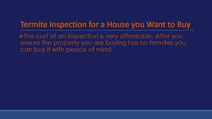 6 Reasons Why you Need a Termite Inspection for your Property