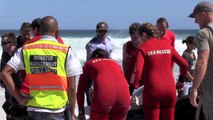 19 pilot whales beach on Cape coast