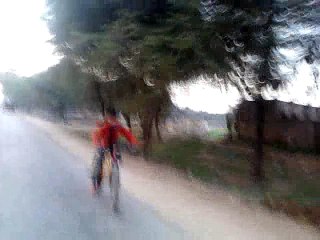 Lala Wheeler: A Brief Overview