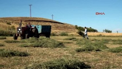 Bingöl Tırpancılık, Teknolojiye Direniyor