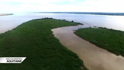Découvert Aquitaine - l'ile nouvelle