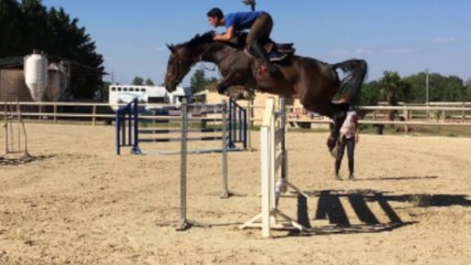 Jument 7 ans Cardento x Darco