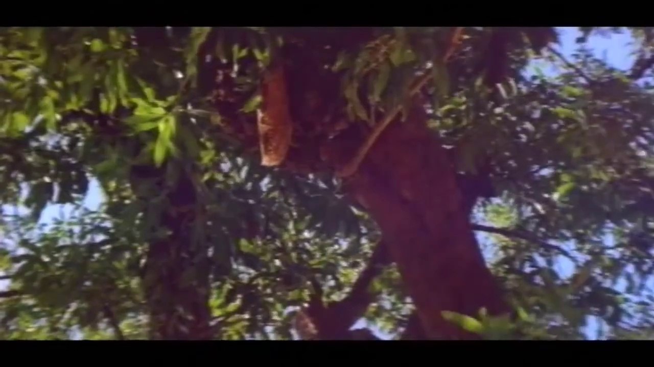 Hot Love Making SEX Scene From Trazan Sundari