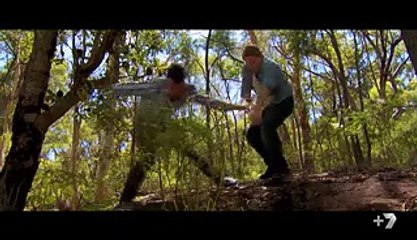 Home and Away | Episode 6468 | 13th July 2016 (HD)