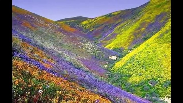 Indian tourism and how long to process indian tourist visa