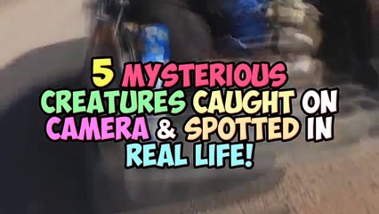 5 Mysterious Creatures Caught On Camera & Spotted In Real Life!