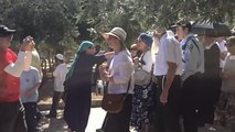القدس- مستوطنون يقتحمون المسجد الأقصى