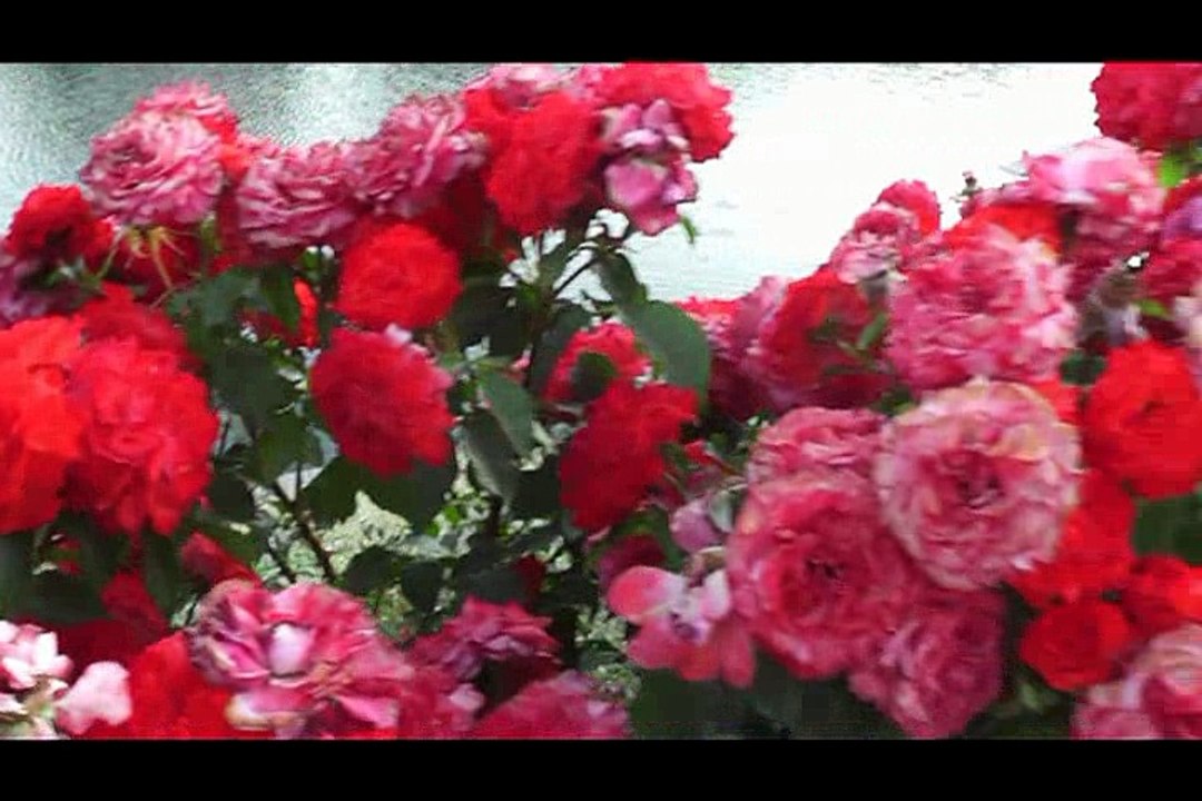 Vatandaşa Sorduk 1. Bölüm