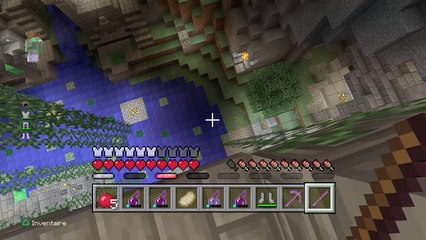 Minecraft: PlayStation®4 Edition_20160712143808