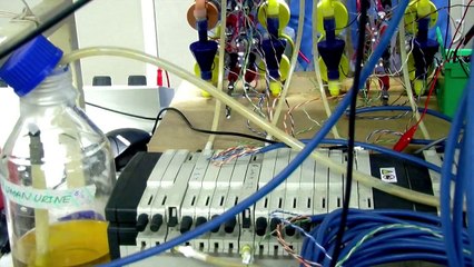 Este célula de combustible recarga móviles utilizando orina