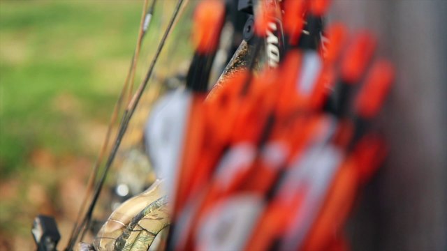 Mathews Halon 5 Bow Review