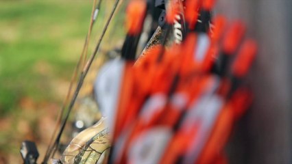 Mathews Halon 5 Bow Review