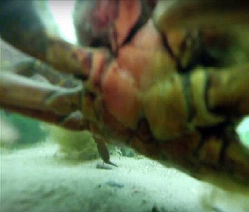 Fisherman Catches Lost Gopro