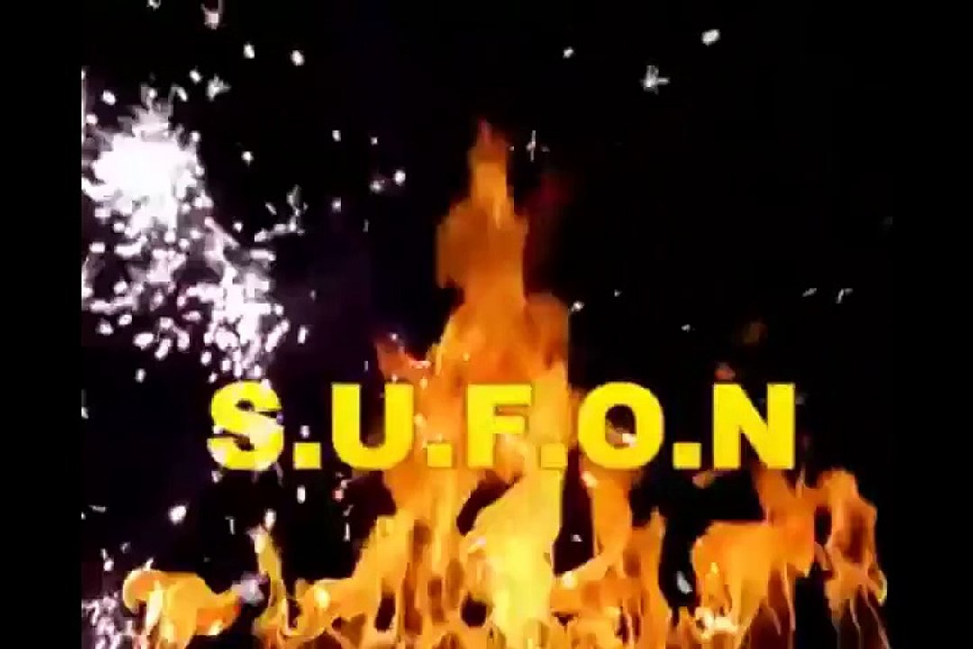 Swansea UFO Network - The Singleton Encounter