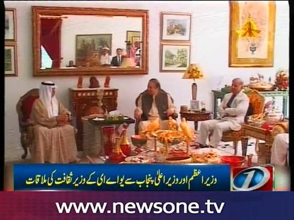 UAE delegation calls on PM Nawaz in Lahore