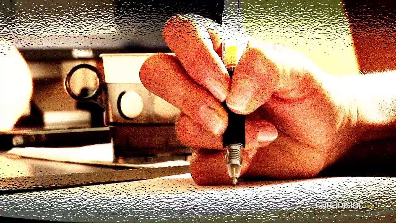 Loi - Fourrière : y a-t-il une règle particuliè...