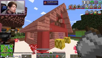 Minecraft   A BABY IS BORN!!   Diamond Dimensions Modded Survival #224