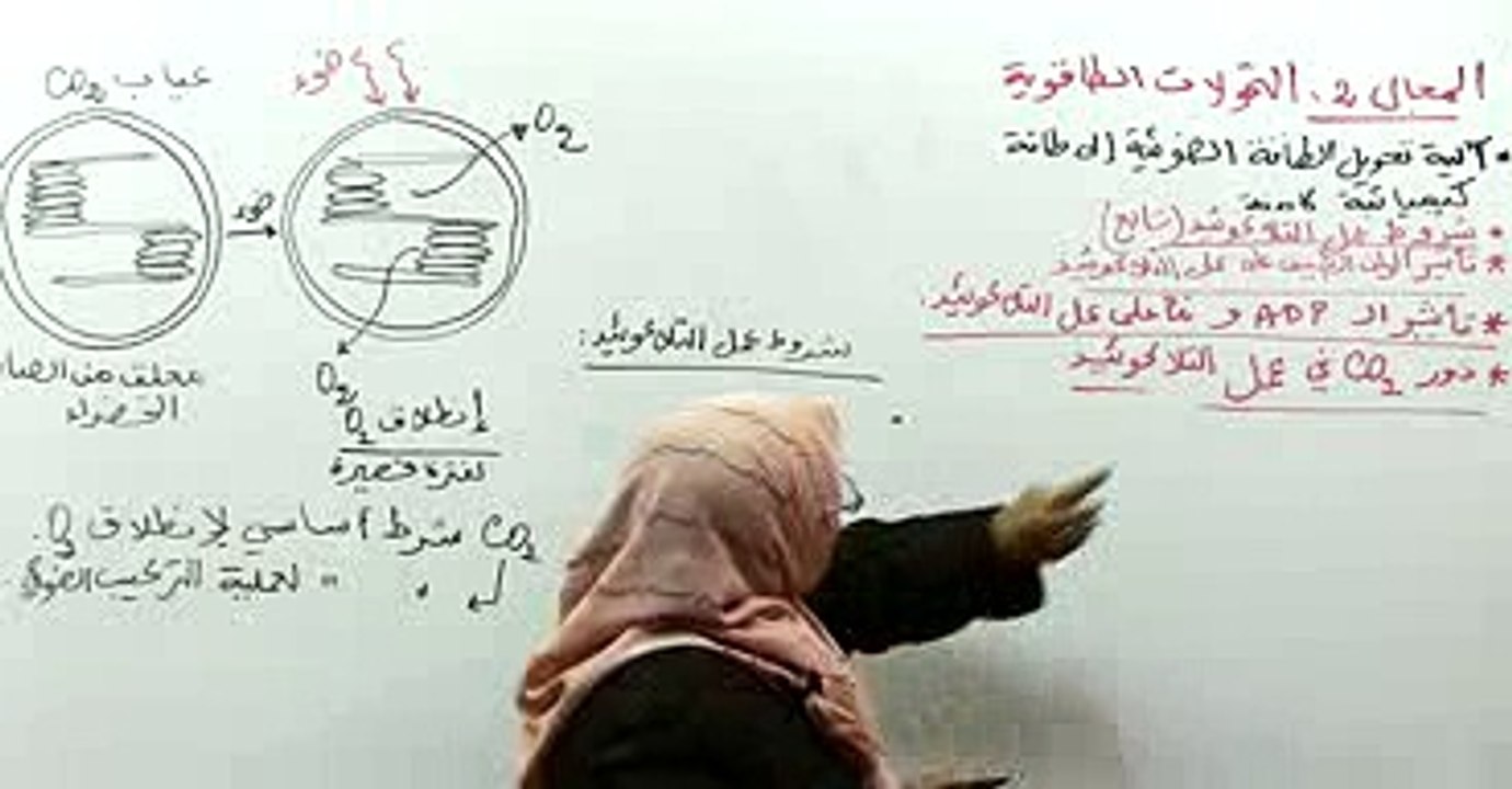 تفاعلات المرحلة الكيميوضوئية 5