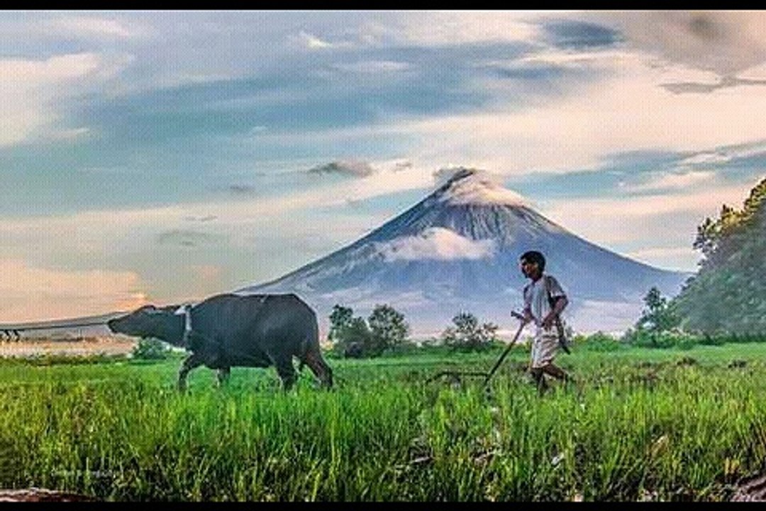 รวม 10 เพลงดัง สุนทราภรณ์ by Yodyayee JufJuf